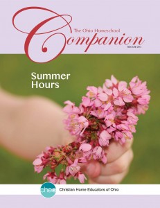 26.3 Companion - Cover